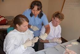 Missions de volontariat et stages en Bolivie : Santé & médecine Missions de volontariat et stages en Bolivie : Santé & médecine