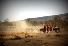 Tanzanie Tanzanie