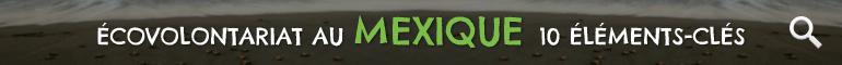 Ecovolontariat au Mexique 10 Éleménts-Clés Ecovolontariat au Mexique 10 Éleménts-Clés