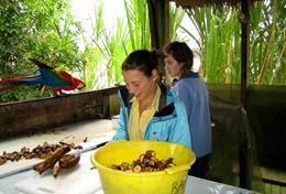 Missions de volontariat et stages au Pérou : Ecovolontariat & environnement Missions de volontariat et stages au Pérou : Ecovolontariat & environnement