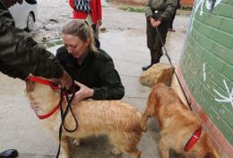Missions de volontariat et stages en Bolivie : Médecine vétérinaire & soins animaliers Missions de volontariat et stages en Bolivie : Médecine vétérinaire & soins animaliers