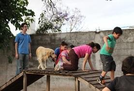 Mission de volontariat auprès d’animaux : médecine vétérinaire et soins animaliers : Argentine Mission de volontariat auprès d’animaux : médecine vétérinaire et soins animaliers : Argentine