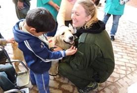 Mission de volontariat auprès d’animaux : médecine vétérinaire et soins animaliers : Bolivie Mission de volontariat auprès d’animaux : médecine vétérinaire et soins animaliers : Bolivie