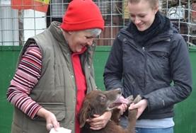 Mission de volontariat auprès d’animaux : médecine vétérinaire et soins animaliers : Roumanie Mission de volontariat auprès d’animaux : médecine vétérinaire et soins animaliers : Roumanie