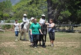Mission de volontariat auprès d’animaux : médecine vétérinaire et soins animaliers : Afrique du Sud Mission de volontariat auprès d’animaux : médecine vétérinaire et soins animaliers : Afrique du Sud