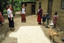 Volontariat professionnel pour la défense des Droits de l'Homme : Tanzanie Volontariat professionnel pour la défense des Droits de l'Homme : Tanzanie