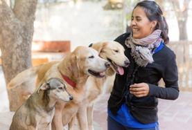 Bénévolat vétérinaire : soins vétérinaires et animaliers en Afrique, Asie, Amérique latine : Argentine Bénévolat vétérinaire : soins vétérinaires et animaliers en Afrique, Asie, Amérique latine : Argentine